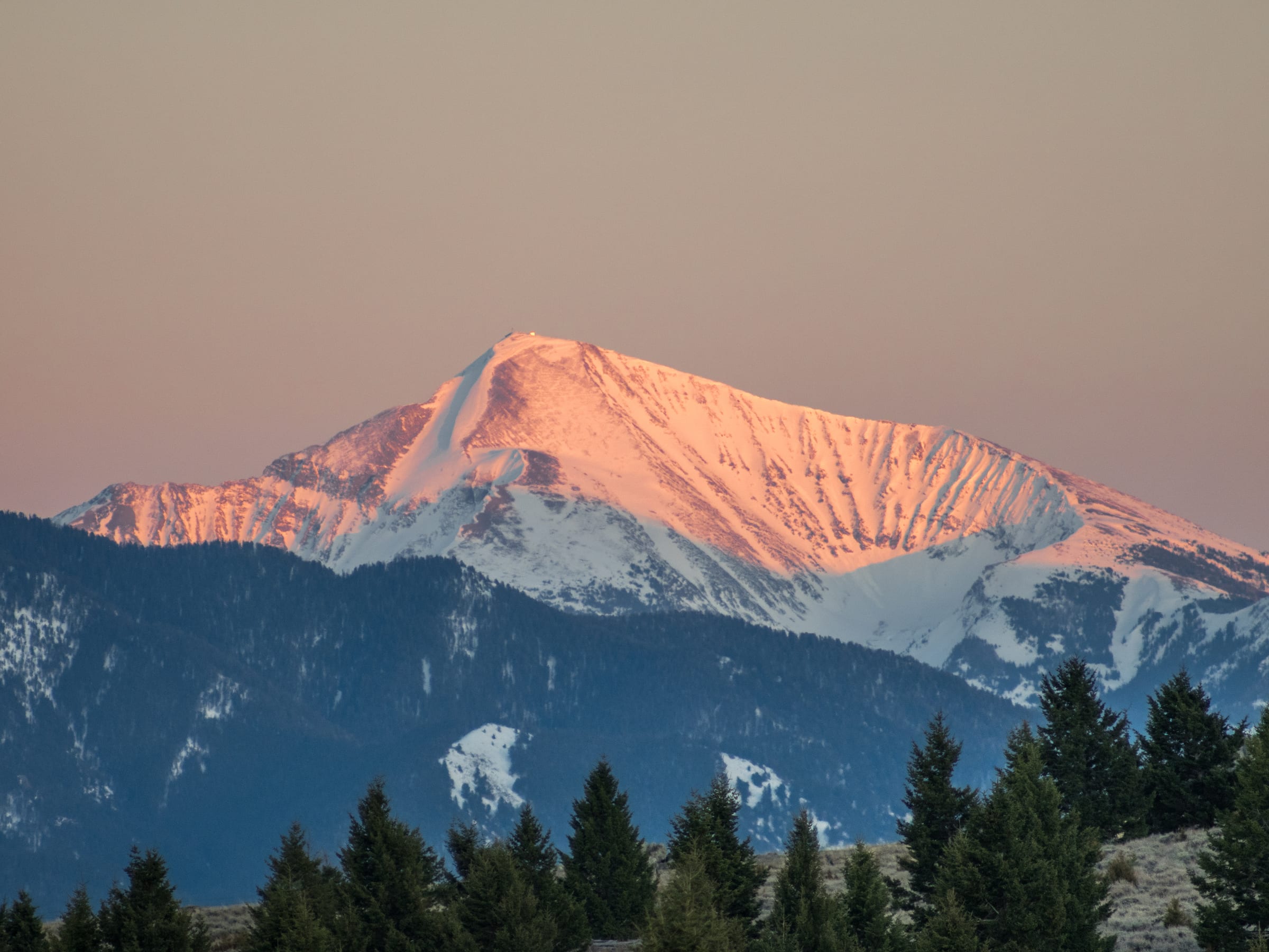 Alpenglow igniting a snowy peak above dark pines